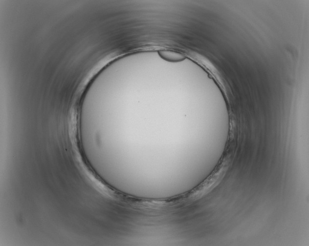 X0000114000859200910021029