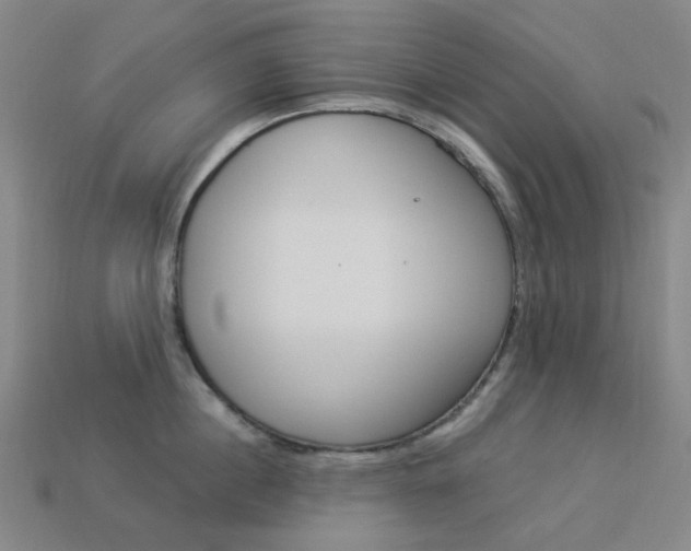 X0000114000860200910021029
