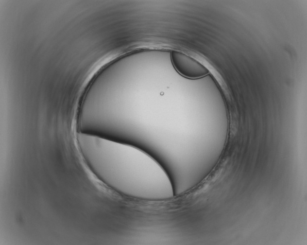 X0000114000861200910021029