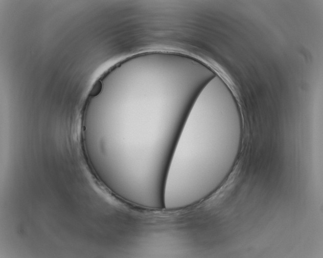X0000114000862200910021029