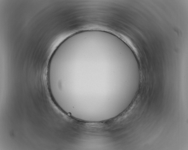 X0000114000863200910021029