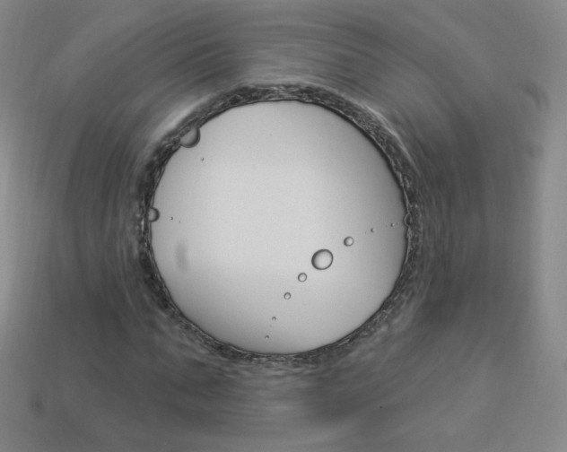 X0000114000871200910021028