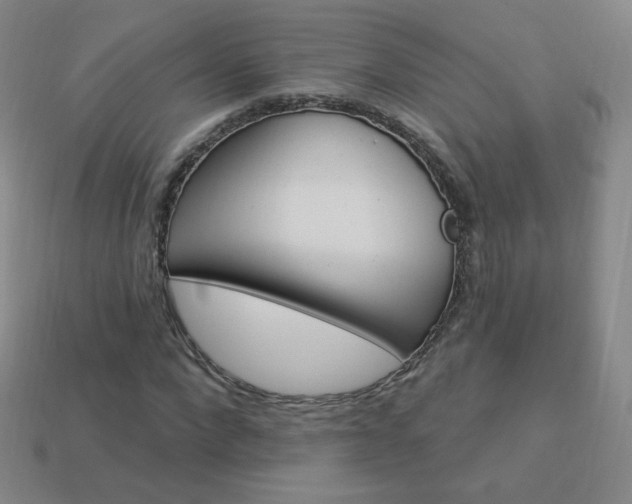 X0000114000872200910021028