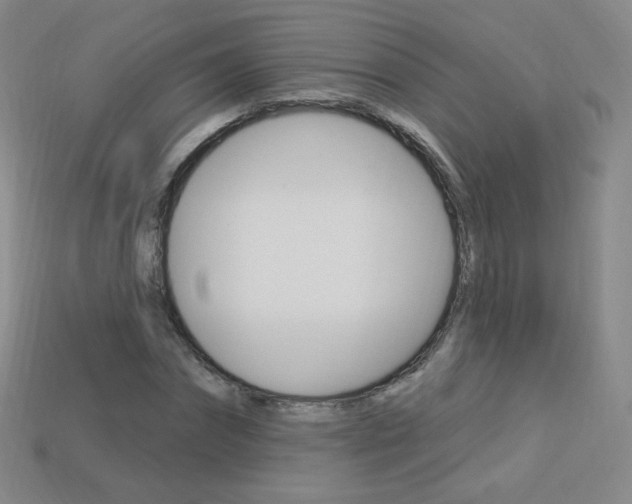 X0000114000874200910021028