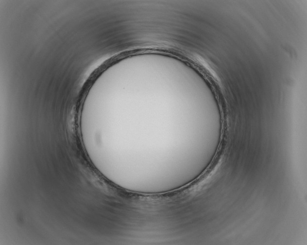 X0000114000875200910021028