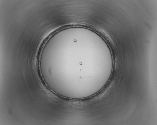 X0000114000876200910021028