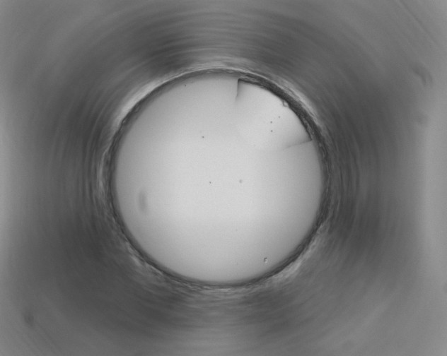 X0000114000877200910021028