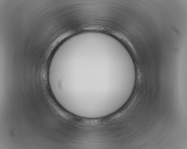 X0000114000882200910021028