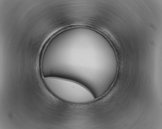 X0000114000884200910021028