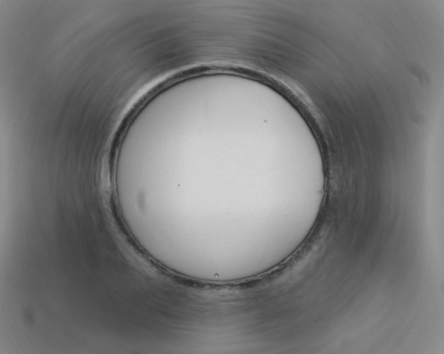 X0000114000887200910021028