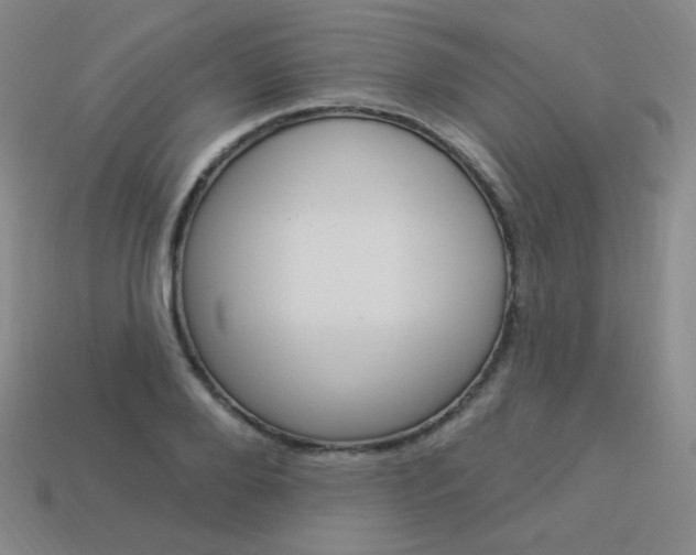 X0000114000888200910021028