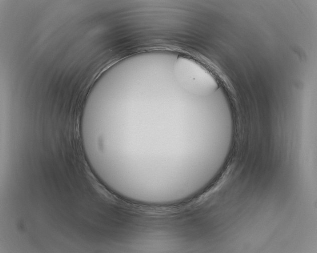 X0000114000889200910021028