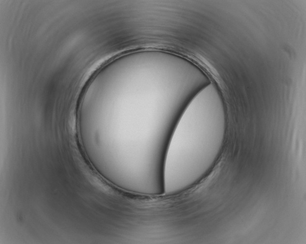 X0000114000891200910021028