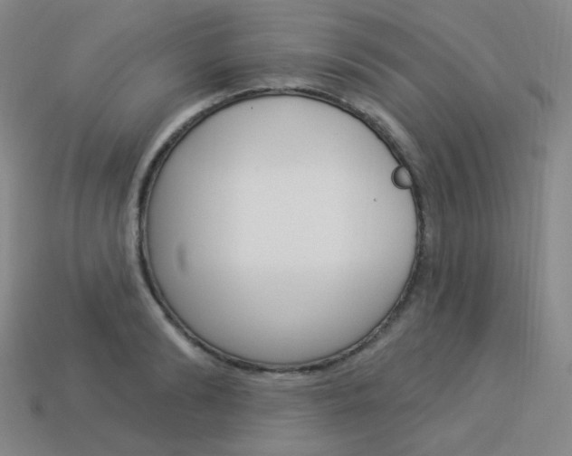 X0000114000894200910021028