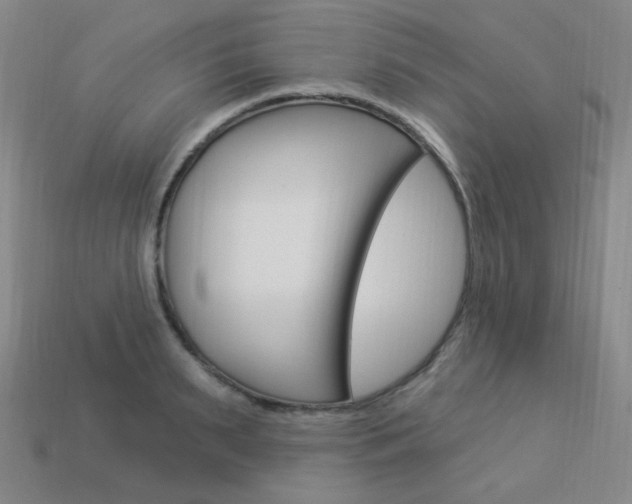 X0000114000895200910021028