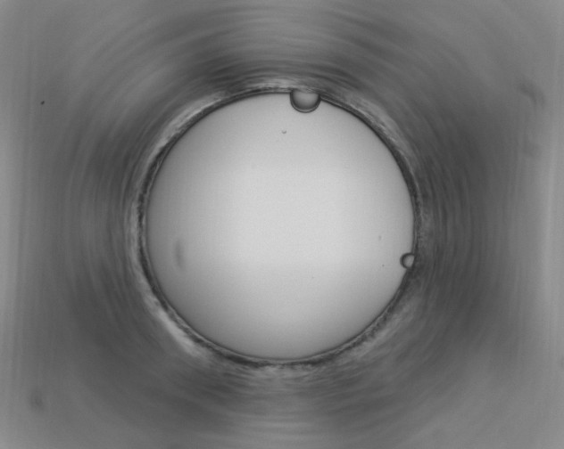 X0000114000898200910021028