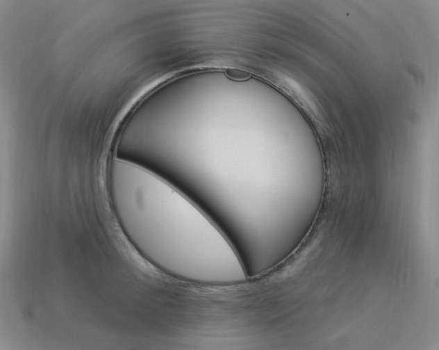 X0000114000900200910021028