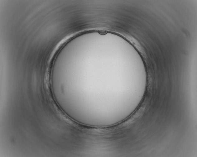 X0000114000904200910021028