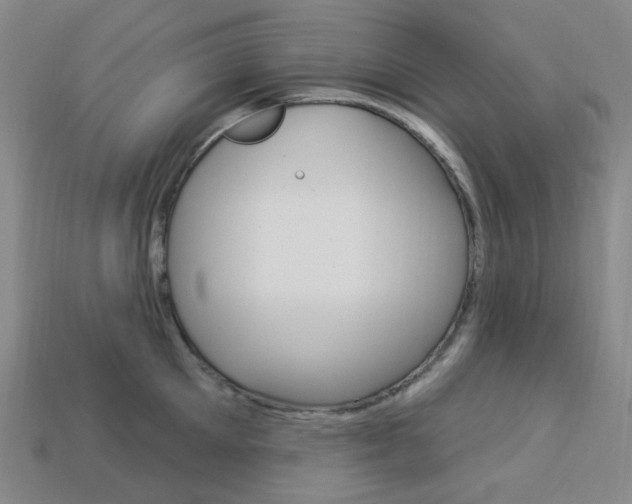 X0000114000905200910021028