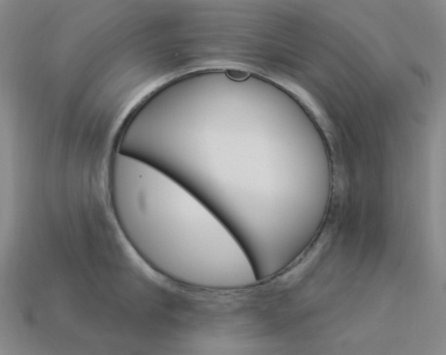 X0000114000910200910021028