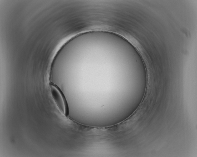 X0000114000912200910021028