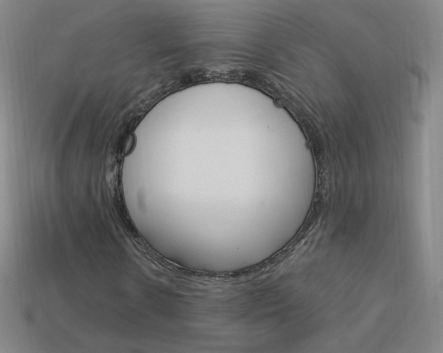 X0000114000914200910021027