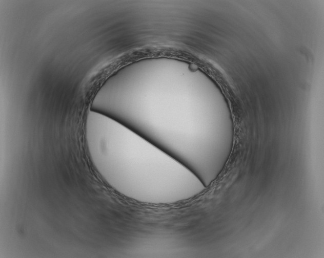 X0000114000919200910021027