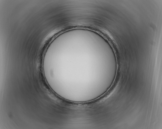 X0000114000922200910021027