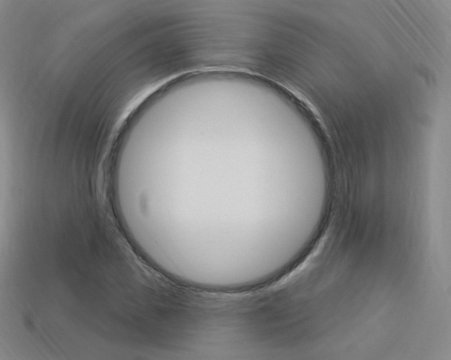 X0000114000925200910021027