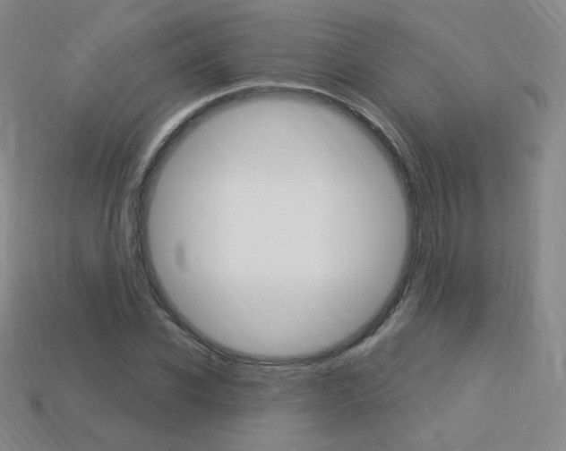 X0000114000926200910021027