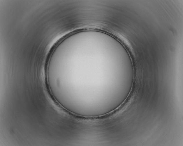 X0000114000936200910021027