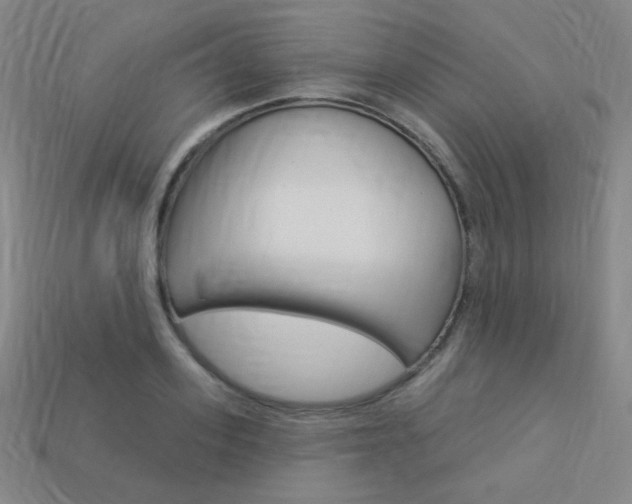 X0000114000939200910021027