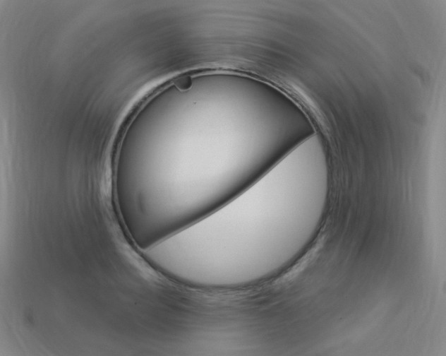 X0000114000940200910021027