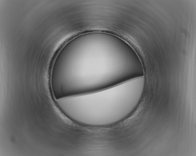 X0000114000942200910021027