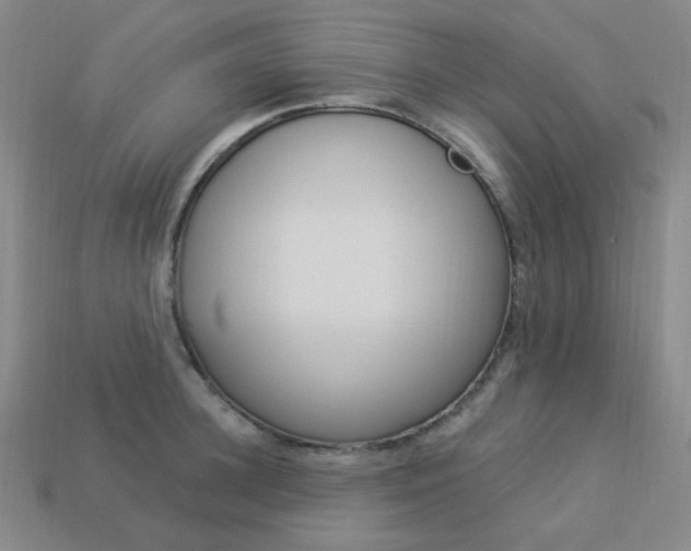X0000114000948200910021028
