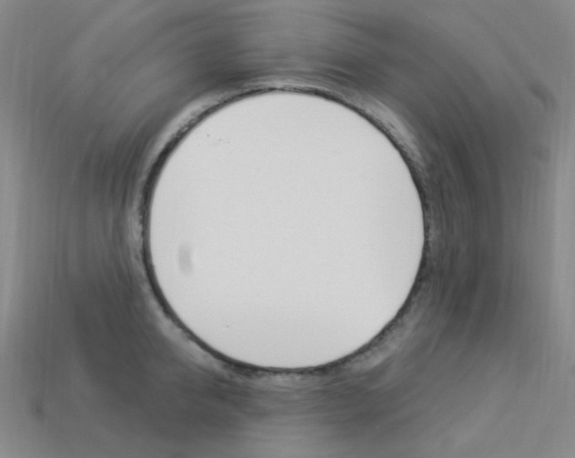 X0000114000950200910021028