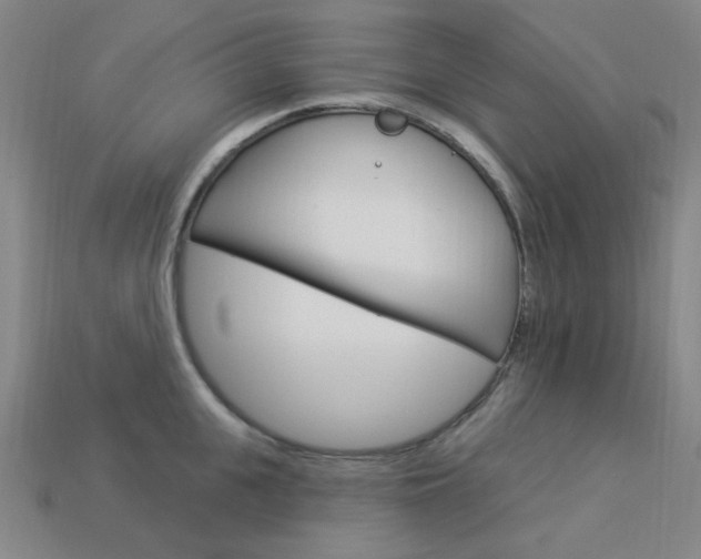 X0000114000951200910021028