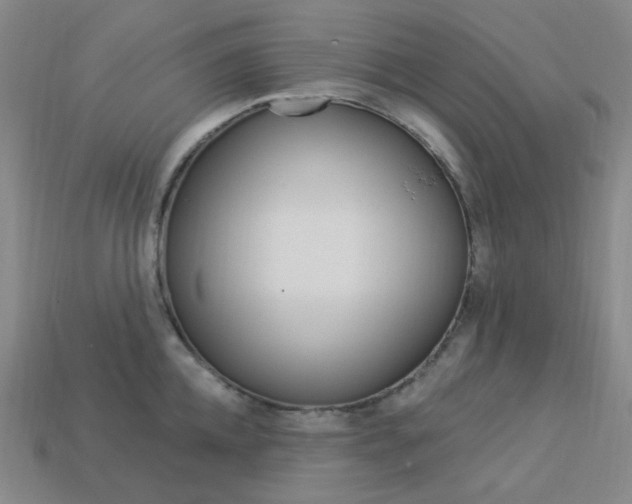 X0000114000952200910021028
