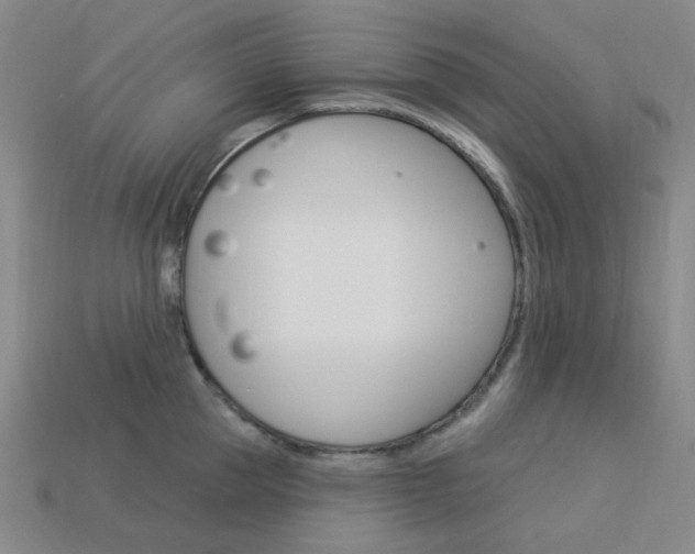 X0000114000953200910021028