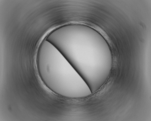 X0000114000955200910021028