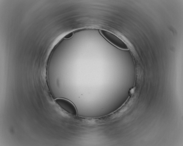 X0000114000956200910021028