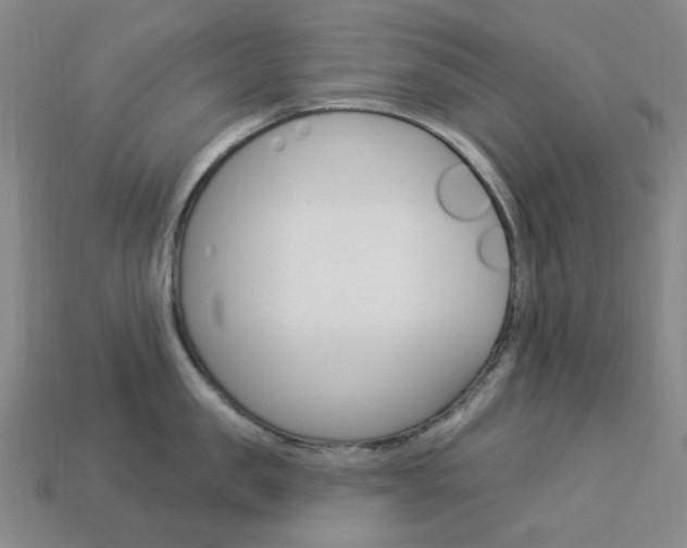 X0000114000957200910021028