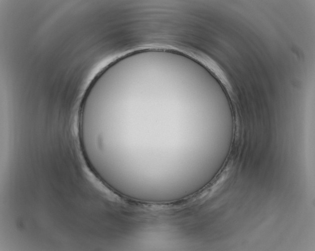 X0000114000958200910021028