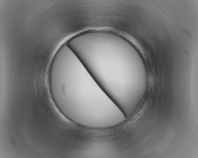 X0000114000959200910021028