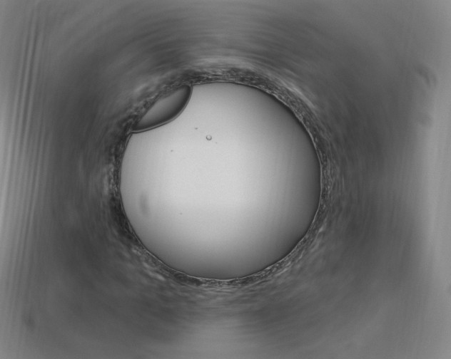 X0000114000965200910021027