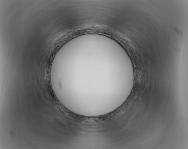 X0000114000966200910021027