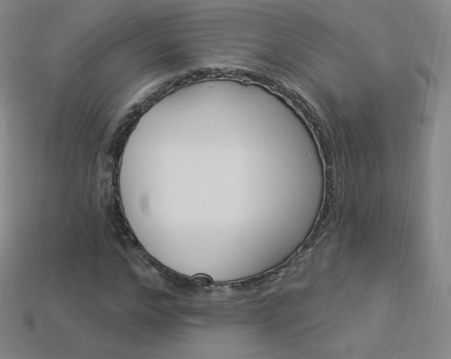 X0000114000968200910021027
