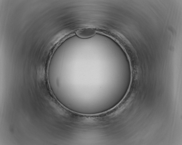 X0000114000969200910021027