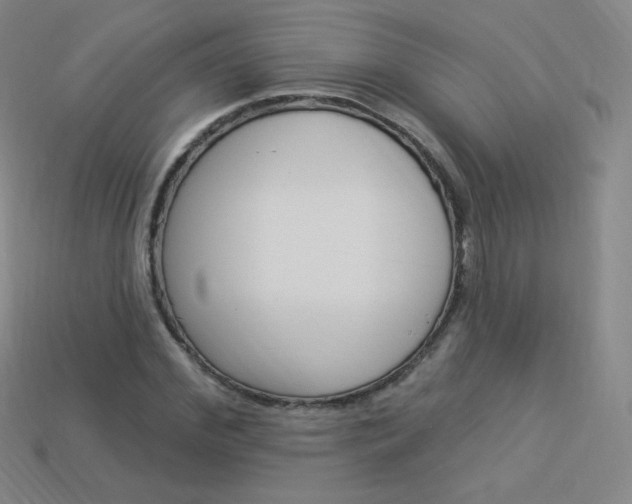X0000114000972200910021027