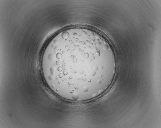 X0000114000974200910021027